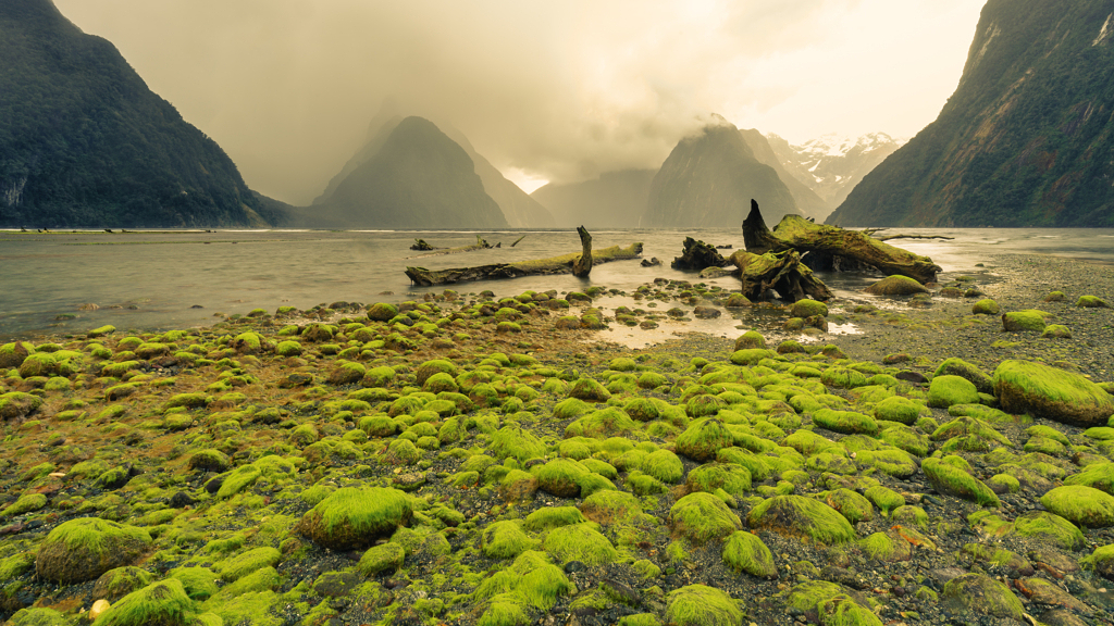ميلفورد ساوند (Milford Sound)